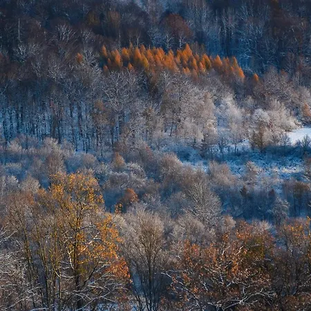 Glamping Brvohorik