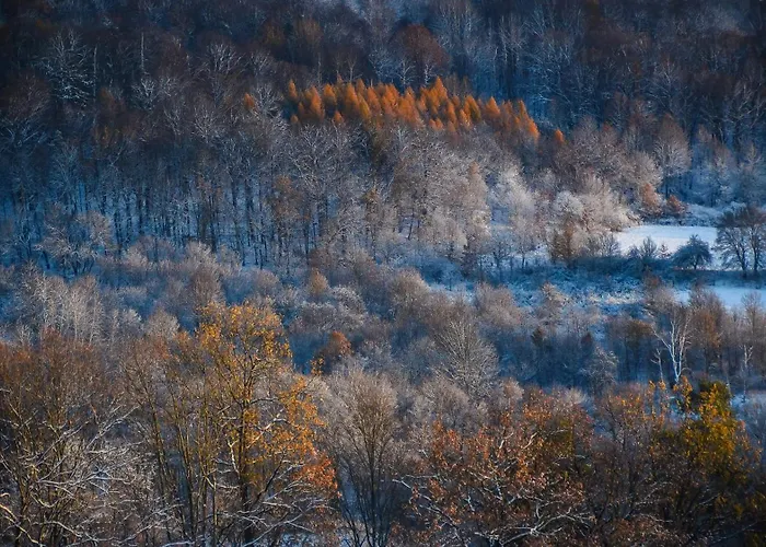 Lüks kamp alanı Brvohorik