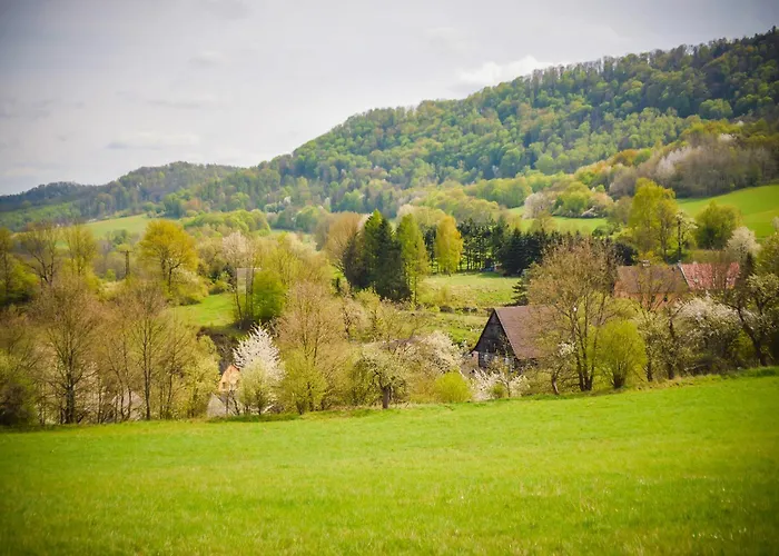 Brvohorik * Valkerice