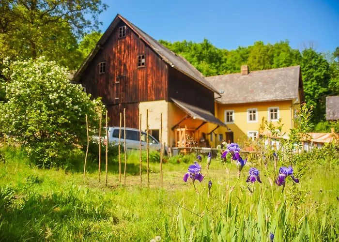 Brvohorik * Valkerice